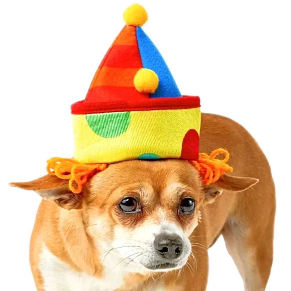 Rubies Pet Shop Boutique Dog Clown Collar & Hat Combo Costume NWT